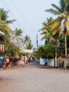 Guatemala-Stadt nach Monterrico