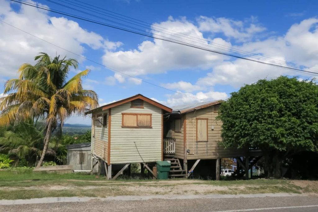 flores nach San Ignacio