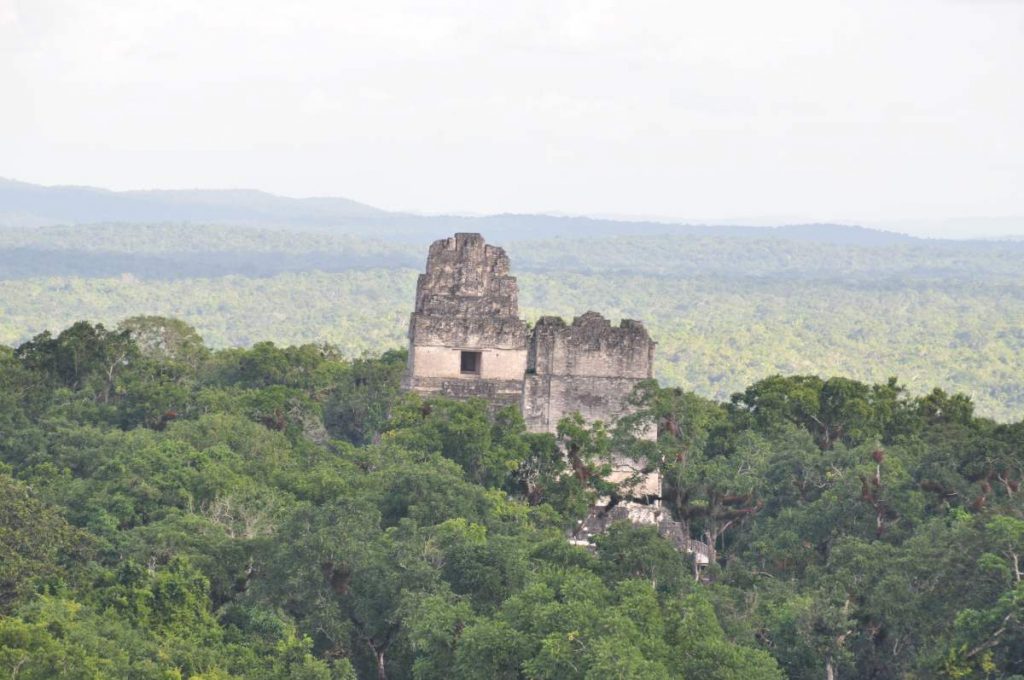 Semuc Champey to Tikal